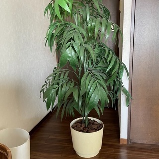 人工観葉植物です