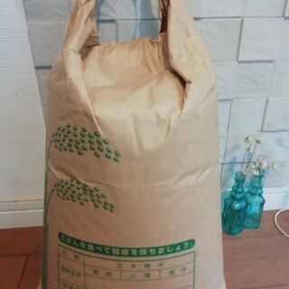 去年の古米　玄米10キロ