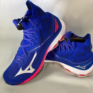 【ネット決済・配送可】MIZUNO　バレーボールシューズ　28c...