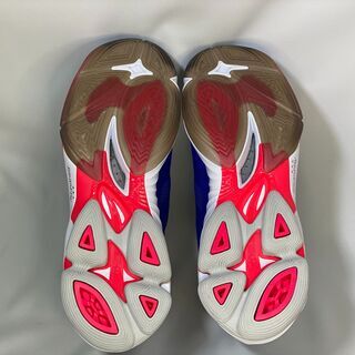 MIZUNO バレーボールシューズ 25.5cm V1GA200220