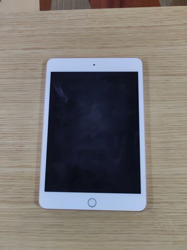 その他 iPad mini 5th cellular 64GB