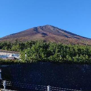 高尾山ハイキング