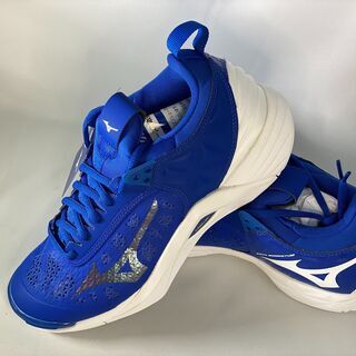 【ネット決済・配送可】MIZUNO　バレーボールシューズ　26....