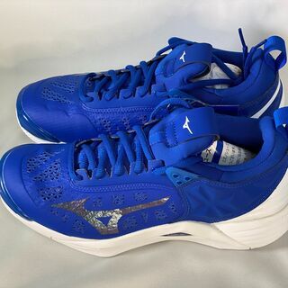 MIZUNO　バレーボールシューズ　25cm　V1GA191206 MIZUNO バレーボールシューズ 25cm V1GA191206