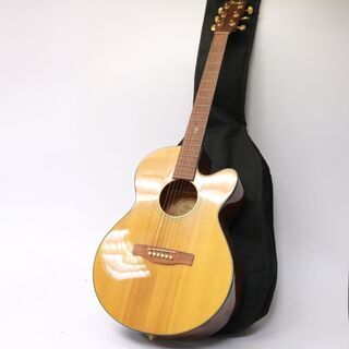 215) 【美品】 Fender フェンダーGDC100SCE ...
