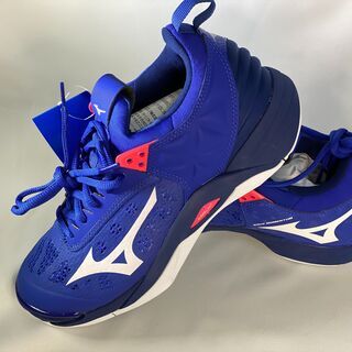 【ネット決済・配送可】MIZUNO　バレーボールシューズ　25....