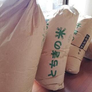 玄米　30キログラム　2袋