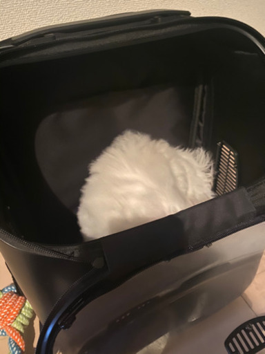 ペット用リュック