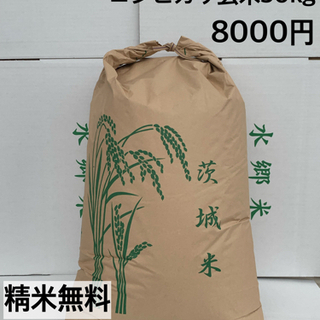 【ネット決済】③ 新米 潮来市 玄米30kg 8000円