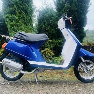HONDA PAX50 原付 | imperiomassagem.com.br