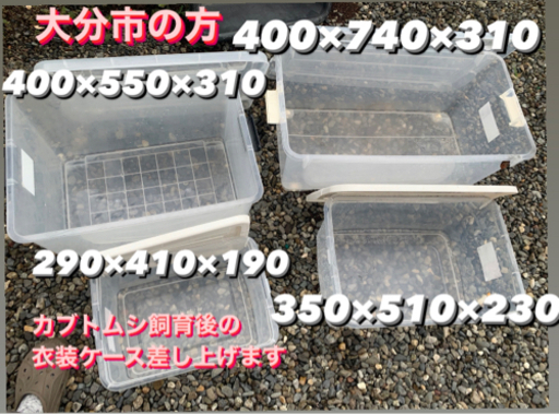 衣装ケース カブトムシ飼育後 Hk 敷戸の収納家具 収納ケース の中古あげます 譲ります ジモティーで不用品の処分 衣装ケース カブトムシ飼育後 Hk 敷戸の収納家具 収納ケース の中古あげます 譲ります ジモティーで不用品の処分
