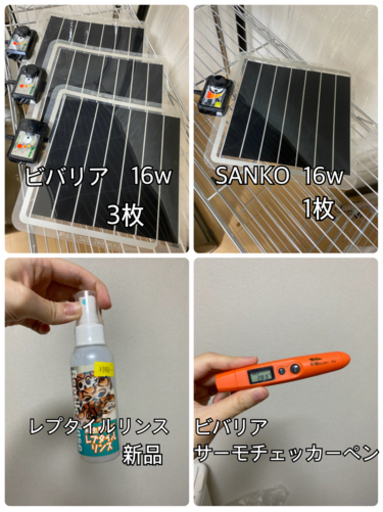 引き取り限定爬虫類飼育セット