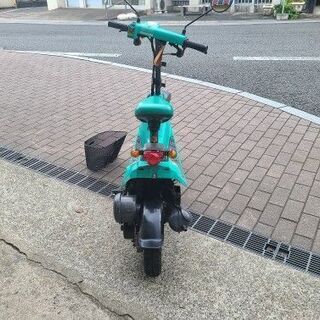 商談中です。】かわいいホンダZOOK（ズーク）です。 【公式通販】