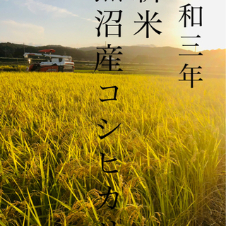 令和三年　新米魚沼産コシヒカリ　玄米30㎏