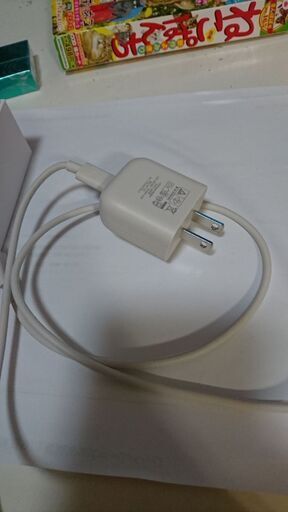 Cタイプ充電器(美品)+α