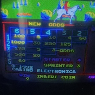 競馬ゲーム機100円硬貨使用