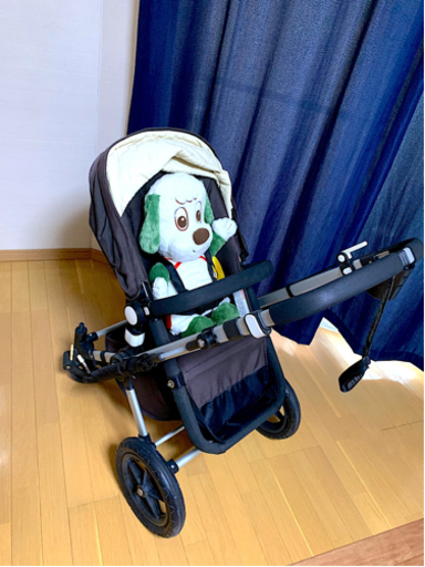 バガブーカメレオン　シルバーフレーム