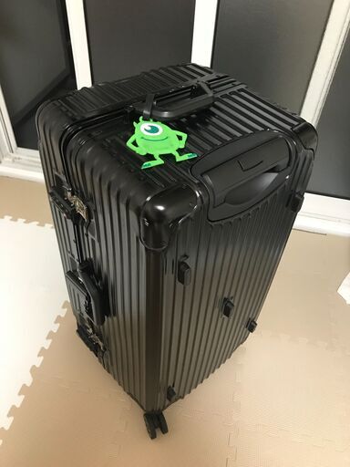 キャリーケース  30インチ TSA007
