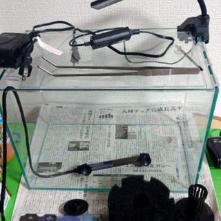 【ネット決済】ガラス水槽セット