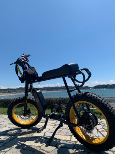 電動付きアシスト自転車　ebike 日本未発売モデル
