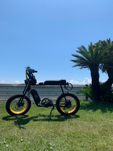 電動付きアシスト自転車　ebike 日本未発売モデル