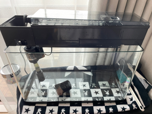 45cm水槽と濾過器セット Elva 中川の家具の中古あげます 譲ります ジモティーで不用品の処分 45cm水槽と濾過器セット Elva 中川の家具の中古あげます 譲ります ジモティーで不用品の処分