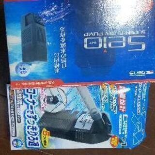 インペリアルゼブラプレコ４匹キンペコ１匹オマケ１匹