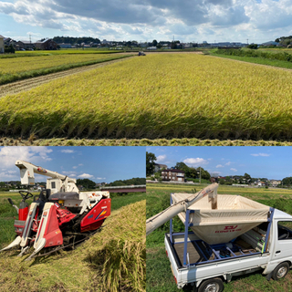 ⭐︎新米⭐︎  無農薬　生産者直売　令和３年　コシヒカリ　玄米30kg