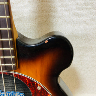 pignose ベース アンプ内蔵 ソフトケース付き