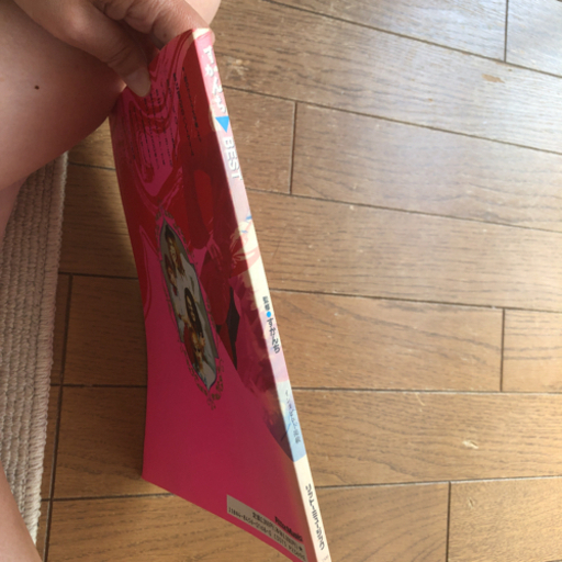 すかんちBEST バンドスコア 楽譜 レア