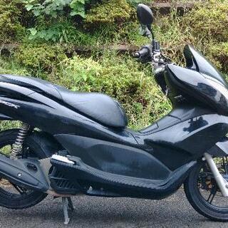 PCX125　(1486)