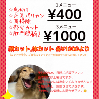 【400円〜】犬のトリミング、爪切り、部分カットなど♫の画像