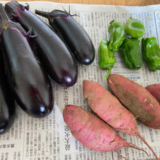 無農薬野菜セット