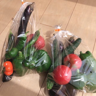 無農薬新鮮野菜セット 200円