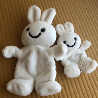 メリーズうさの中古が安い 激安で譲ります 無料であげます ジモティー