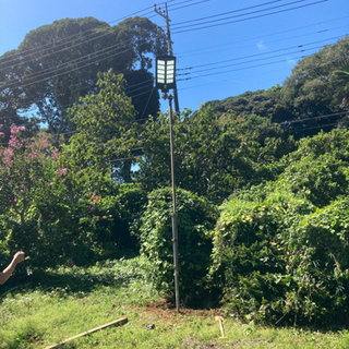 【ネット決済・配送可】電気0円