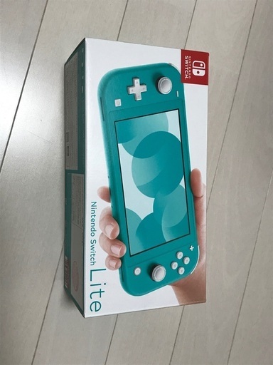 その他 Switchlite