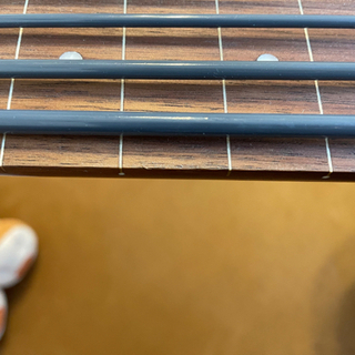 【ウクレレベース】KALA U-BASS RMBL-FL フレットレス