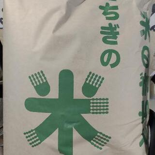 【ネット決済】【今年分終了】令和3年新米★栃木県産コシヒカリ10...