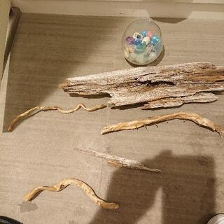 【ネット決済】  9/27処分   流木、シーグラス、貝殻、お祭...