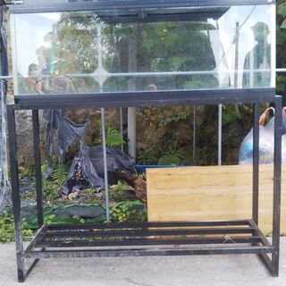 引き取り限定　120×45×45　水槽フルセット　水槽台付き