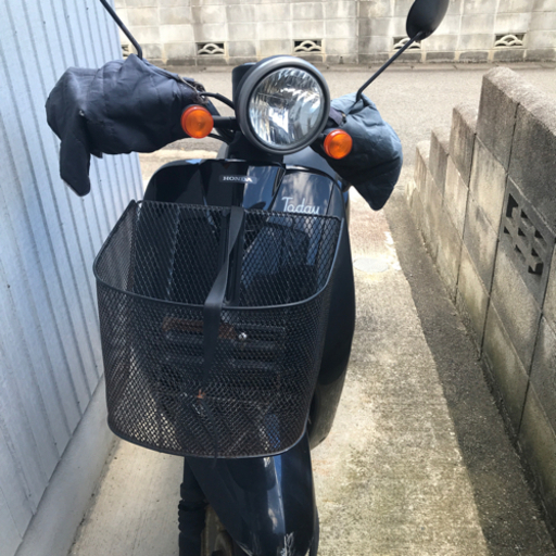 原付　ホンダ　トゥデイ