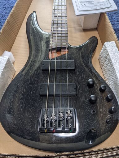 Ibanez / SR500E-TVB (TV Fuzz Black）国内限定20本イシバシ独占販売