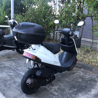 19902km アドレスv100 スズキ CE13A 小型 始動動画あり 日本最級