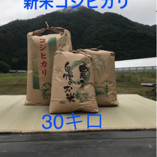 【ネット決済・配送可】令和3年産新米コシヒカリ100% 30kg...