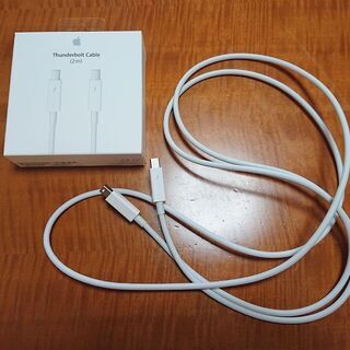 Apple純正★Thunderbolt2 Cable サンダーボ...