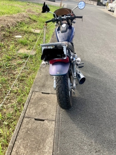 エリミネーター250