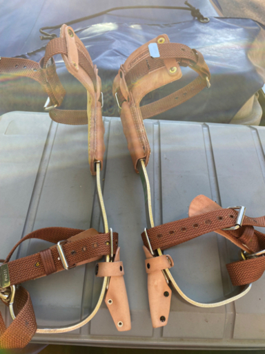 ツヨロン　昇柱器　林業　アーボリスト