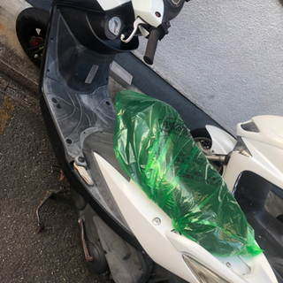 SYM GT125？ | tarabyavetlife.com