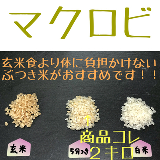 【マクロビ】令和3年新米こしひかり 分つき米 2キロ　玄米食　マ...